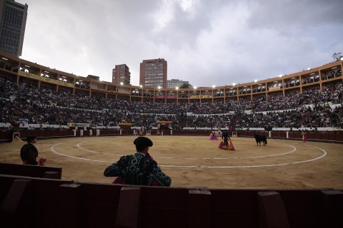 Corte Constitucional avala ley que prohíbe corridas de toros y peleas de gallos