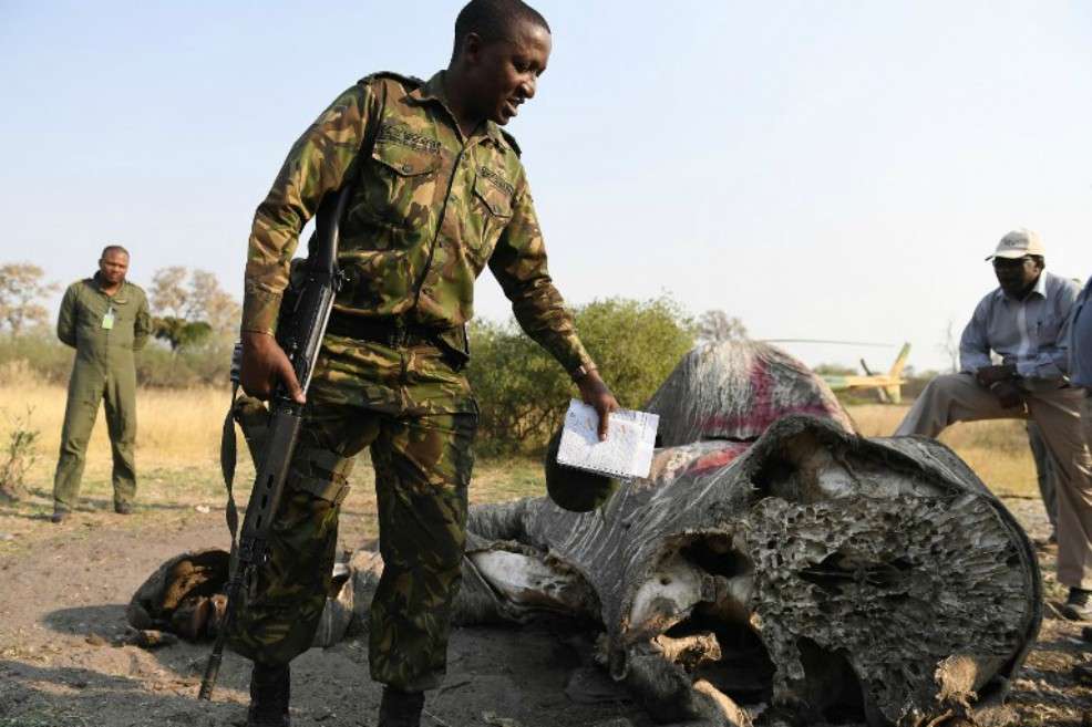 El coronel George Bogatsu de la Fuerza de Defensa de Botswana en un operativo contra cazadores de elefantes. / AFP