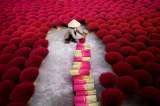 En fotos: El ‘pueblo del incienso’ de Vietnam