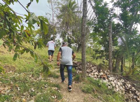 Morir esperando la restitución de tierras: el caso de los reclamantes del Urabá