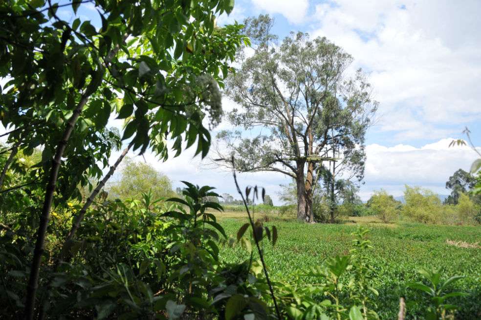 El humedal La Conejera es considerado de Interés Ecológico Nacional. / El Espectador