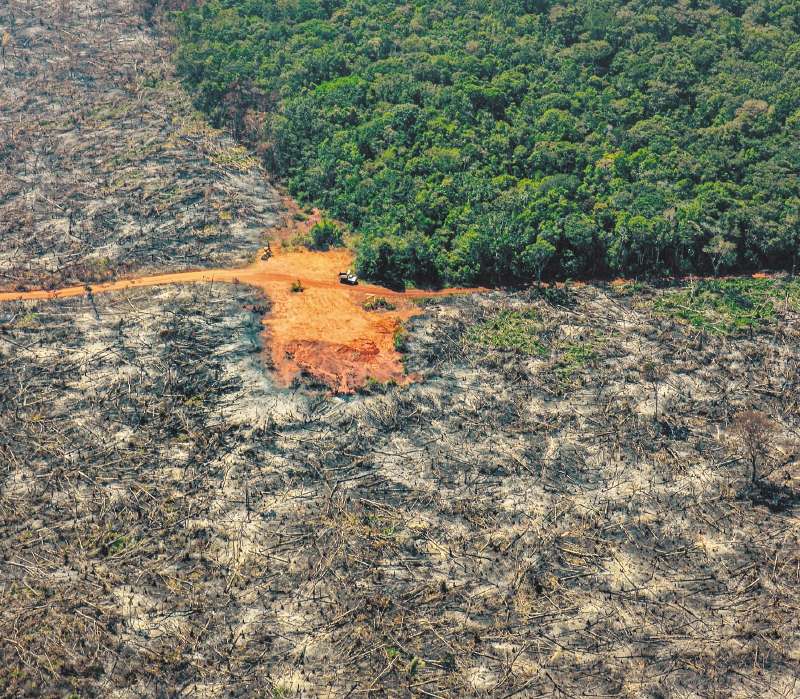 El arco de deforestación amazónica atraviesa a Caquetá, Guaviare, Putumayo y Meta. /Cortesía FCDS