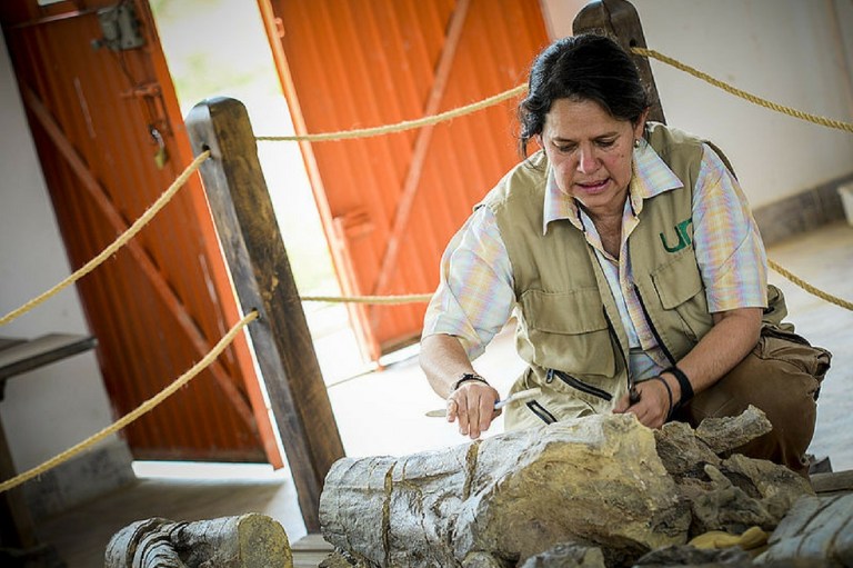 En Sáchica, Boyacá, está el pliosaurio más grande del mundo