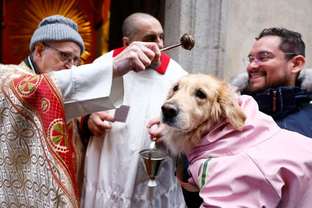 FOTODELDIA MADRID, 17/01/2026.- Cientos de personas se acercan este sábado a la Iglesia de San Antón de Madrid, para la bendición de animales con motivo de la festividad de San Antonio Abad, considerado el patrón de los animales. EFE/ Rodrigo Jimenez