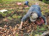 Proyecto de especialidad agraria y rural pende de un hilo en el Congreso