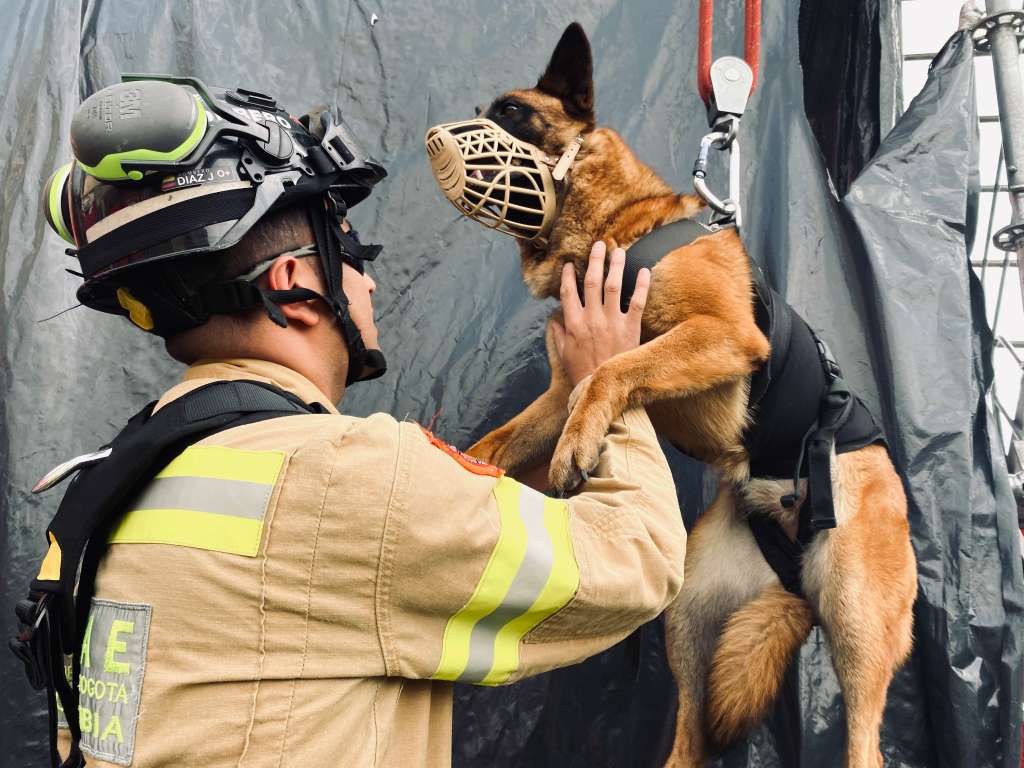Toda vida cuenta: El grupo de bomberos de Bogotá que rescata animales en emergencia