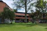 Nueva denuncia de abuso sexual en la Nacional: ¿cómo garantizar un campus seguro?