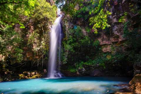 Turistas podrán compensar la huella de carbono de sus viajes a Costa Rica