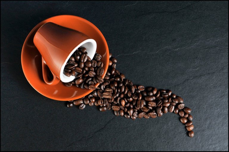 ¿Para qué sirve el café y cuáles son sus beneficios en la salud?