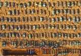 Brasil: ¿se aprendió cómo no manejar una pandemia?