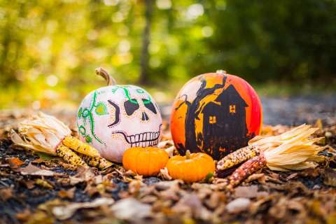Libra a Piscis: inspírate en tu signo zodiacal para disfrazarte en Halloween