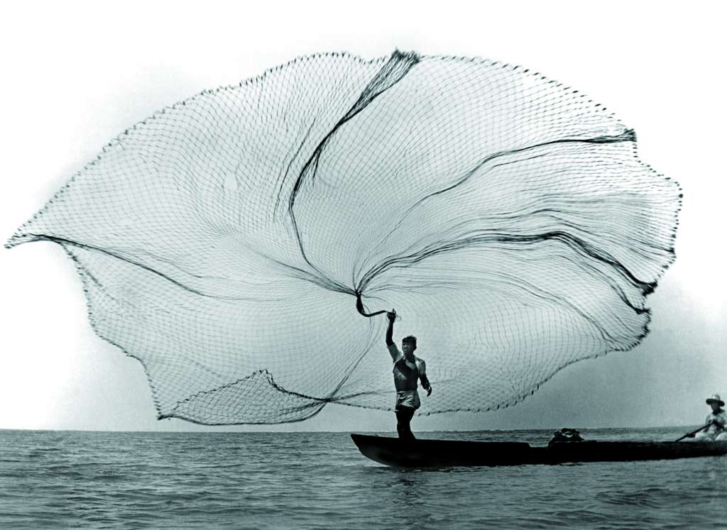 La red, Ciénaga Grande Santa marta. / /Leo Matiz