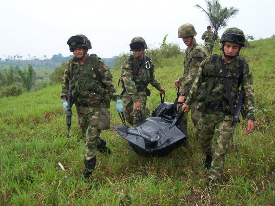En 2014 el Consejo de Estado determinó que los miembros de la Fuerza Pública deben recibir la calificación como víctimas del conflicto armado interno.