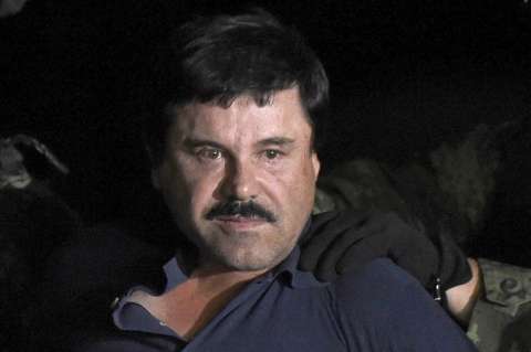 Pavos reales, cisnes y guacamayas, entre las especies exóticas del "Chapo"