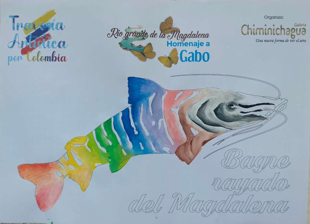 Arte para salvar al bagre rayado: el proyecto que une al legado de Gabo con la conservación