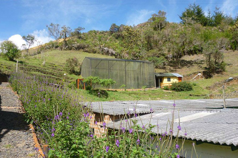 Así se veía el mariposario por fuera.CortesíaA la mañana siguiente, Villada, junto a los otros jóvenes con quienes administraban el mariposario, Liseth Buitrago y Esteban Chávez, fueron a recoger los enseres y colecciones que, en teoría, estaban bien. Pero se encontraron con cajas destruidas, colecciones dañadas y plantas destruidas. Al indagar de nuevo con el secretario y con el mismo alcalde del municipio, Camilo Botero, les dijeron que iban a investigar.