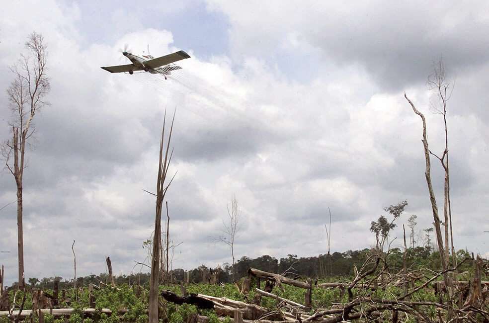 La aspersión aérea sobre cultivos de uso ilícito se dejó de realizar en Colombia desde 2015, por orden del gobierno Santos. El gobierno Duque quiere retomar esta metodología para afectar las plantaciones de coca. / AP