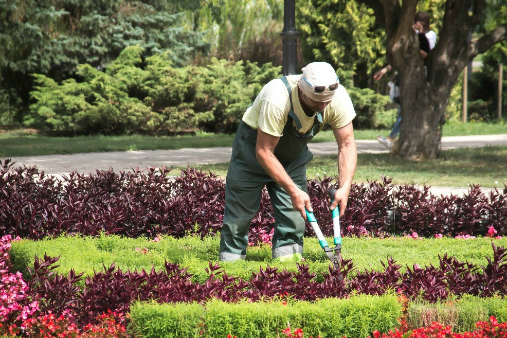 El beneficio también cobija a trabajadores del hogar, cuidadores de finca y jardineros. / Pixabay.
