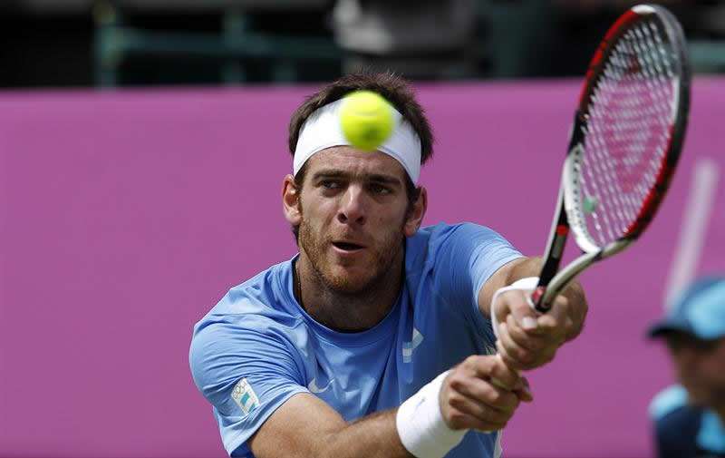 Juan Martín del Potro - EFE