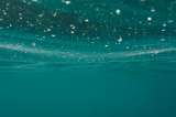 El fondo del mar está pasando de blanco calizo a marrón oscuro