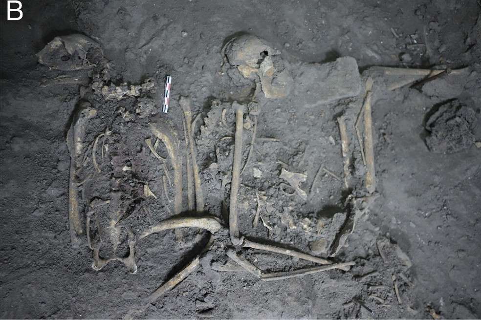 Estos restos de mono araña de 1.700 años de antigüedad apuntan a la evidencia más temprana de cautiverio.
