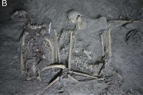 Los antiguos mayas le regalaban a sus vecinos monos araña. ¿Por qué?