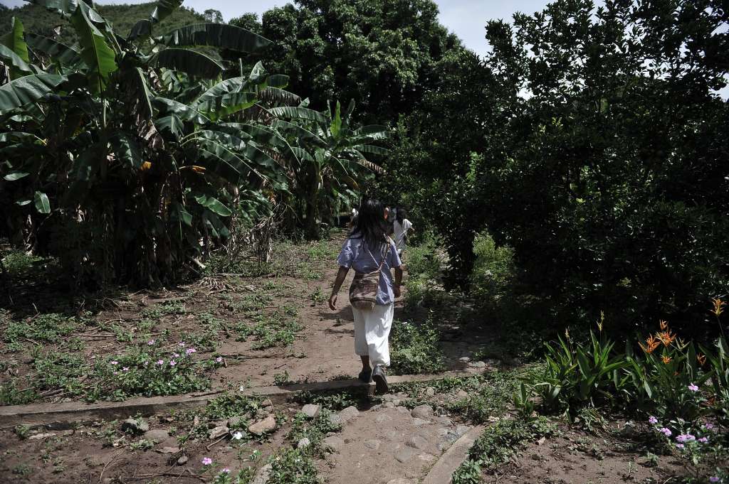 Comunidad Indígena de La Sierra Nevada de Santa Marta, utiliza paneles solares.