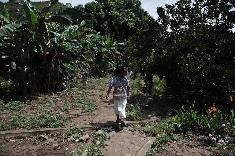 Lo que viene para la Línea Negra en la Sierra Nevada de Santa Marta
