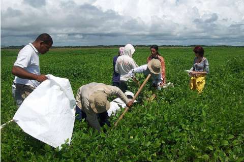 Los suelos productivos de la Orinoquía tienen una degradación del 30%
