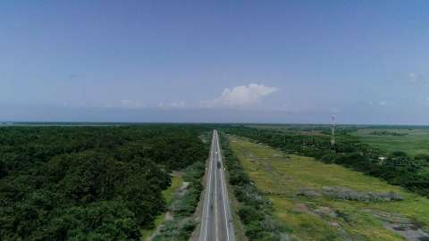 Carreteras y ferrocarriles planificados impactarán el hábitat de 2.500 especies
