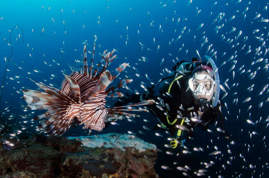 En Santa Marta expertos y principiantes pueden hacer buceo.