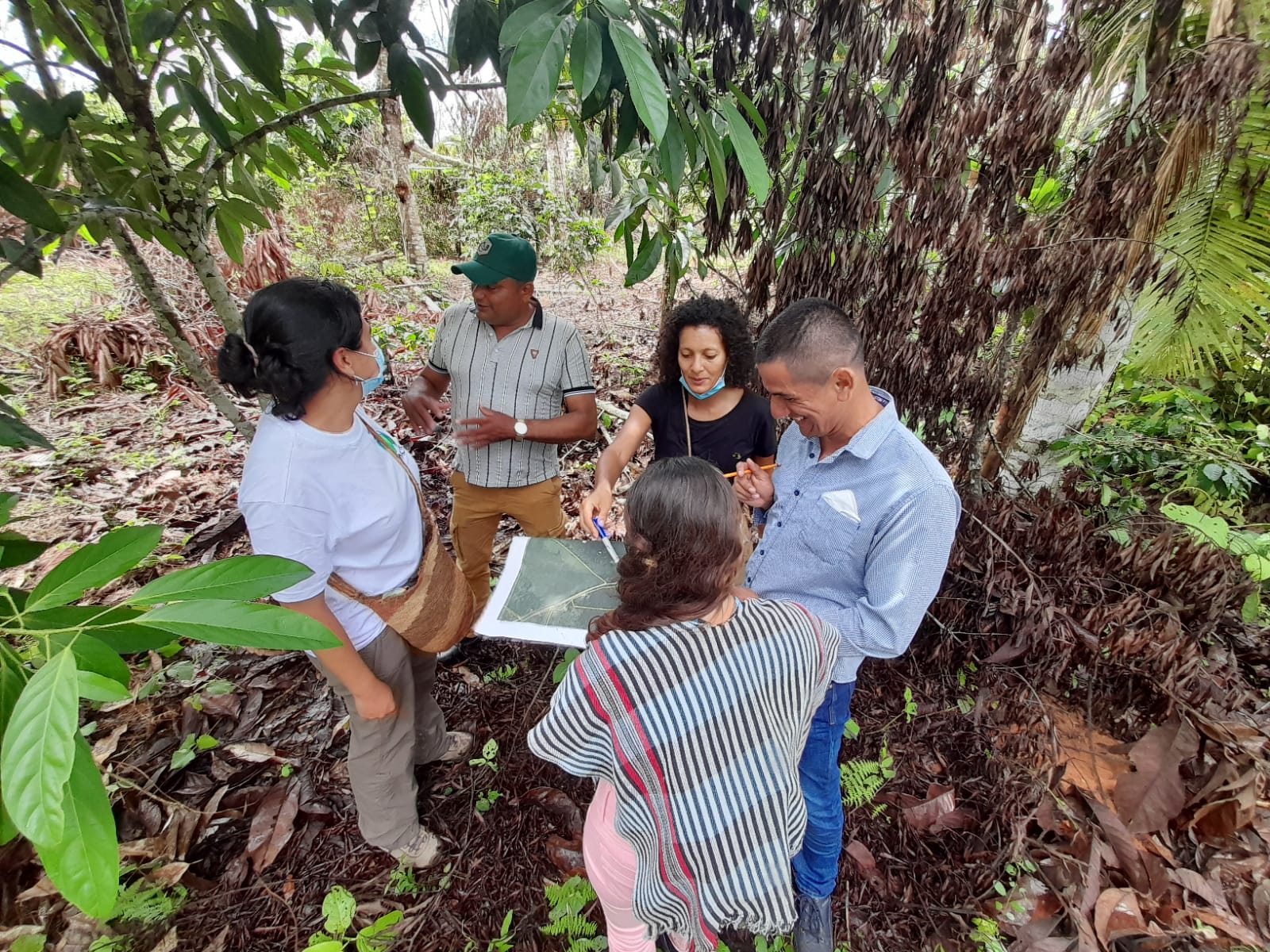 En la Amazonía colombiana se produce el 4 % del cacao de todo el país, entre esos tres departamentos.