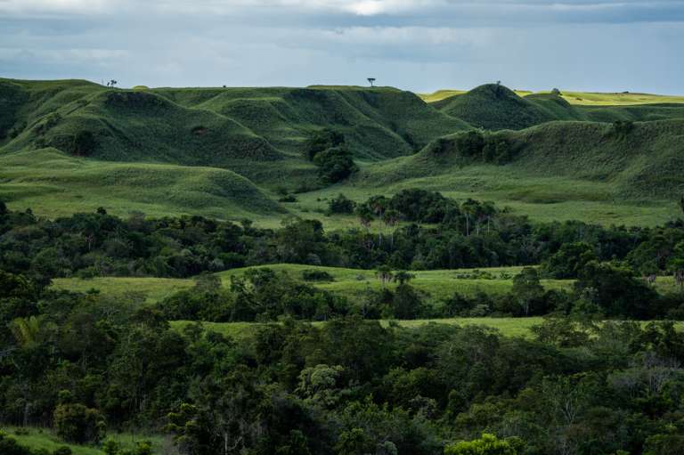 La Serranía de Manacacías está ubicada en el departamento del Meta, llanos orientales de Colombia
