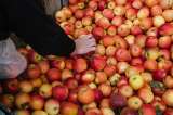 Se acelera inflación de octubre en Estados Unidos