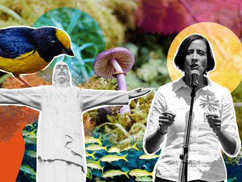 El Espectador le explica por qué la COP16 es tan importante (y lo que se viene)