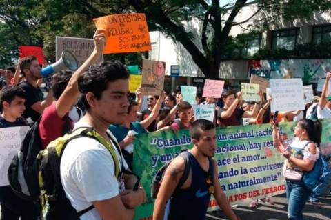 Caleños protestaron frente al consulado de Brasil por los incendios del Amazonas