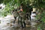 Bloque Sur de las Farc perdió 280 guerrilleros en 2014