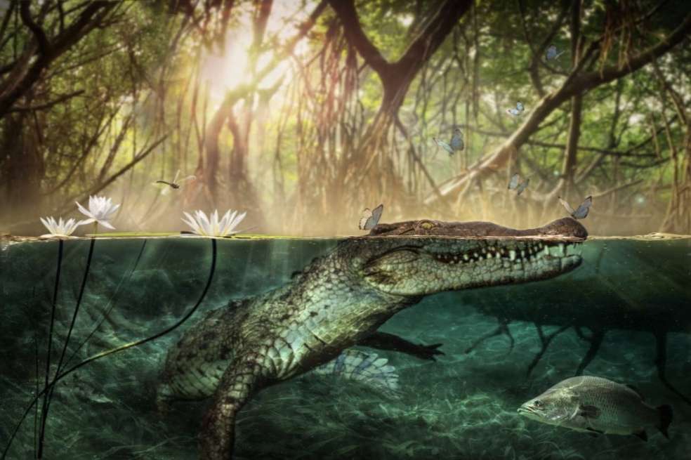 Recreación del aspecto en vida y el paleoambiente de C. checchiai.