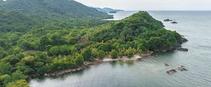 La ampliación propone 76.007 hectáreas adicionales e incluye nuevos objetivos de conservación, además de la tortuga caná, como pastos marinos, corales, otras especies de tortugas marinas, delfín nariz de botella (Tursiops truncatus), y el delfín gris (Sotalia guianensis), entre otros.