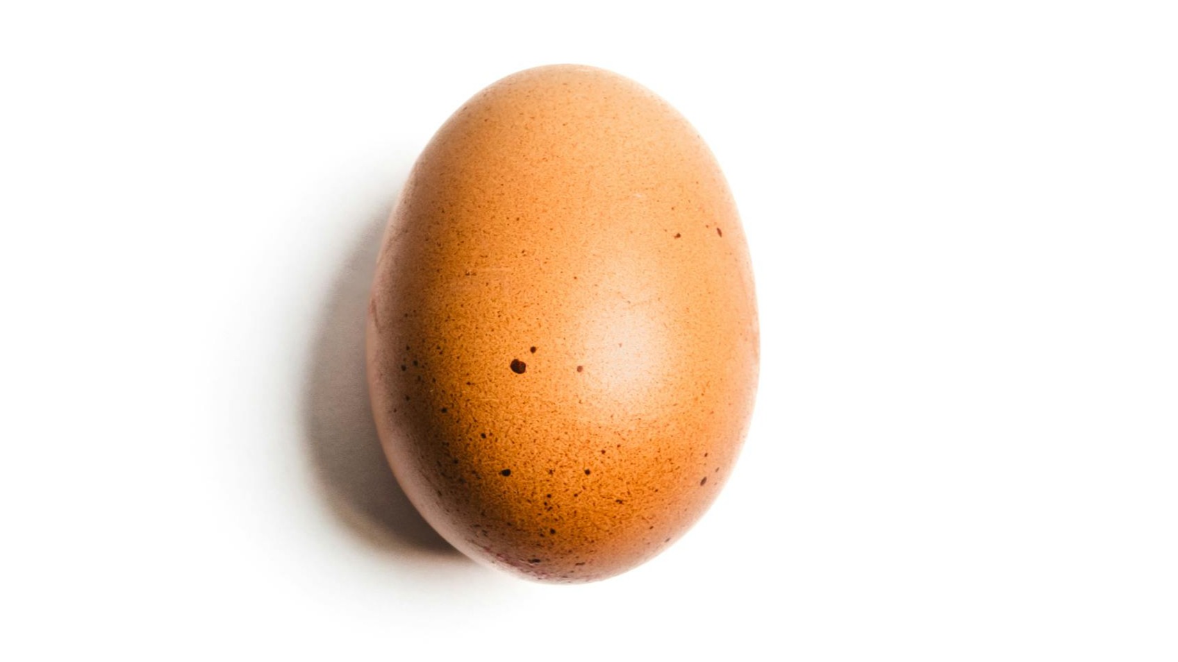 huevo, egg