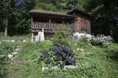 Suiza: varios detenidos por el uso de una “cápsula” de asistencia al suicidio