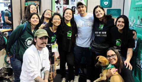 Así trabaja DogPack para rescatar, esterilizar y dar en adopción responsable