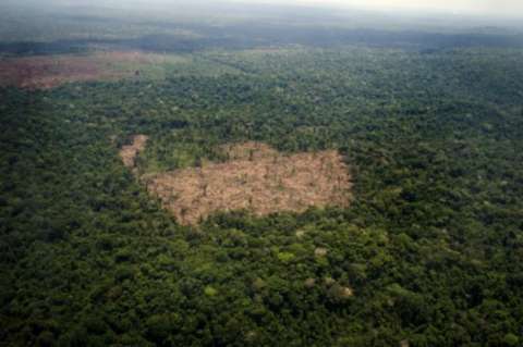 Hasta el 20 de agosto los colombianos podrán dar sus ideas para mitigar la deforestación del país