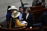 Plenaria del Senado aprobó en segundo debate 28 artículos de la reforma pensional