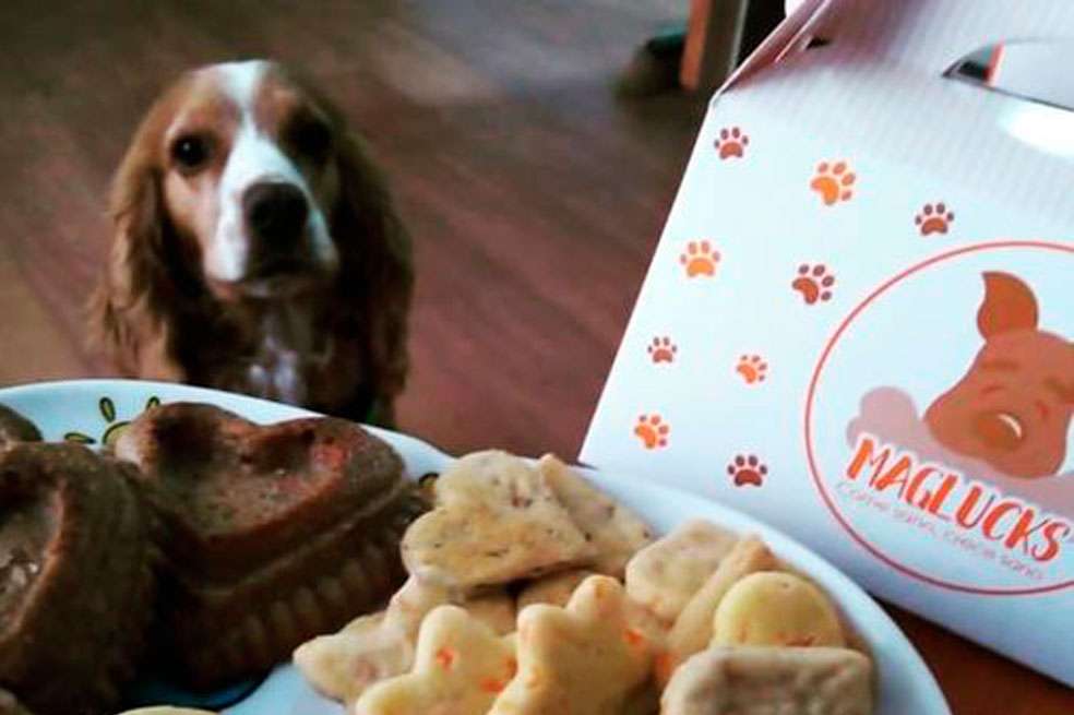 5 consejos de snacks o premios saludables para consentir a tu perrito