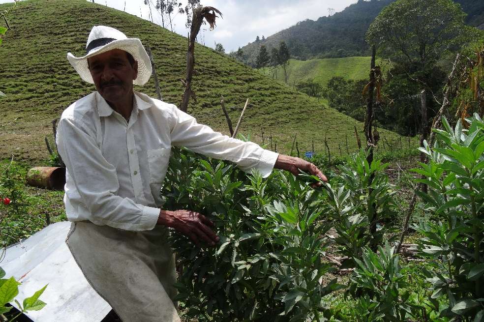 Pedro Bedoya y 21 campesinos más del oriente antioqueño visitaron Bogotá esta semana para empezar un proyecto de agroturismo. / Cornare