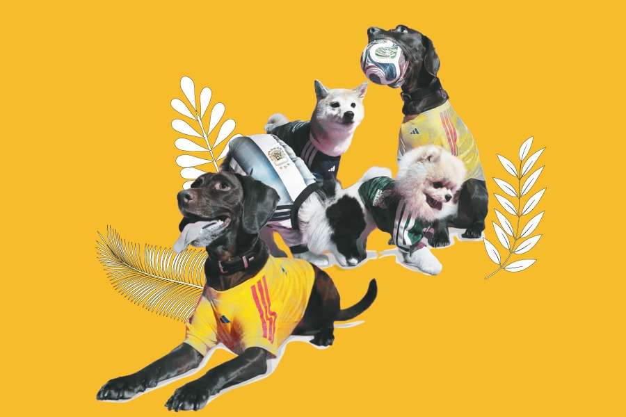 Preparar los documentos de su mascota con tiempo es el primer paso para disfrutar juntos de la fiesta del fútbol en Norteamérica.
