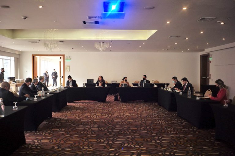 La presidenta de la CIDH, Antonia Urrejola, se reunió con un grupo de congresistas de diversos partidos para recibir información sobre la situación de Colombia en el contexto de las protestas.