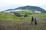 Avanza  reparación a víctimas del derrumbe en Doña Juana