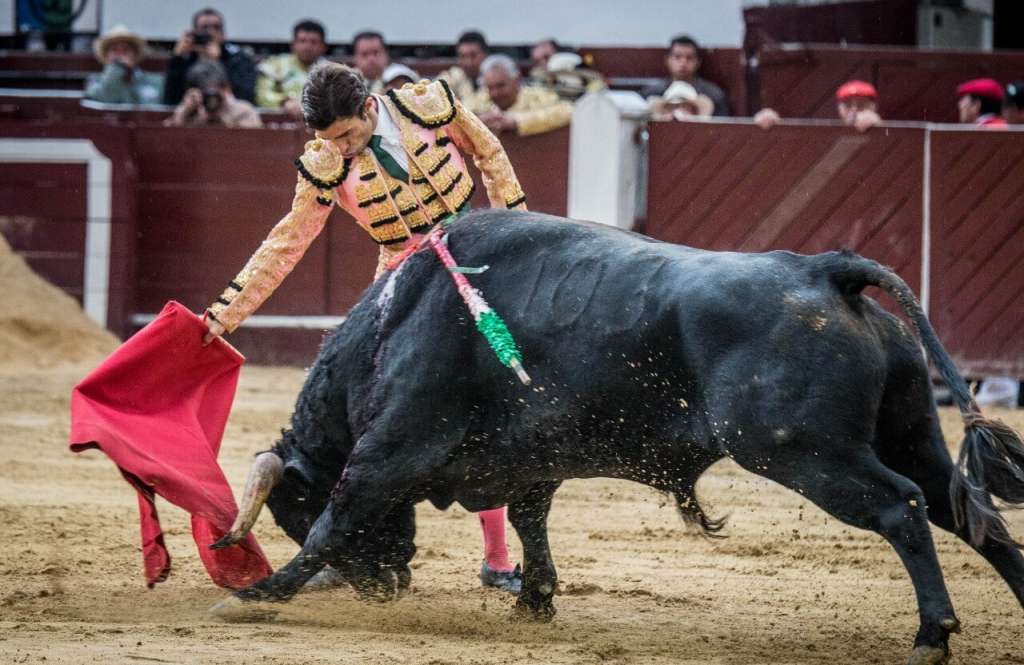 El torero español Fernando Robleño cortó una oreja en su presentación en la plaza de toros La Santamaría. / Fotos: Cortesía Fiesta del toro
